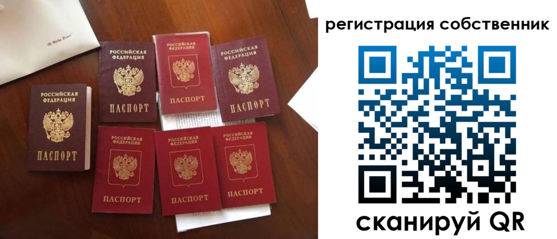 найти адрес прописки в Невеле